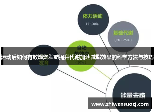 运动后如何有效燃烧脂肪提升代谢加速减脂效果的科学方法与技巧
