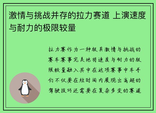 激情与挑战并存的拉力赛道 上演速度与耐力的极限较量
