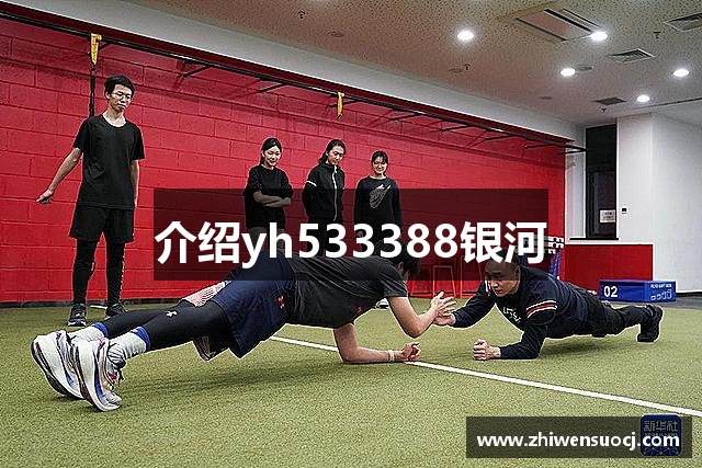 介绍yh533388银河